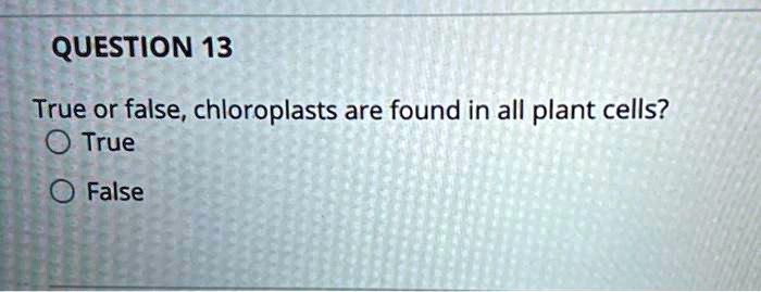 True or false, chloroplasts are found in all plant cells?
True
False