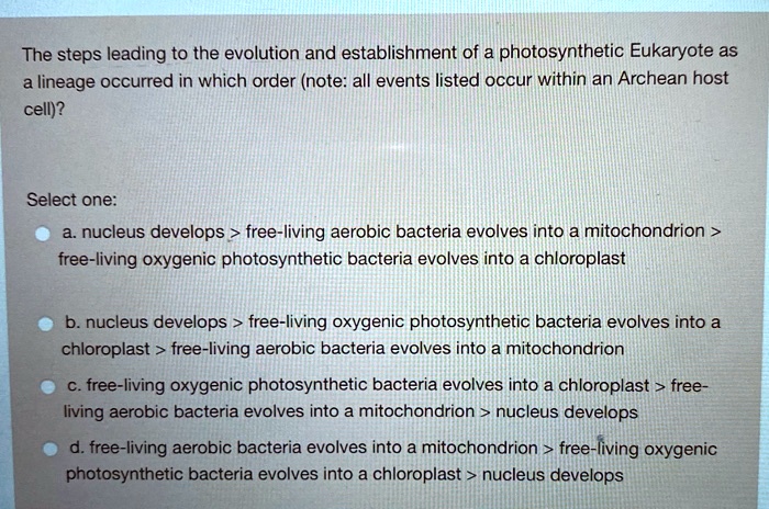 The steps leading to the evolution and establishment of a photosynthetic Eukaryote as a lineage occurred in which order (note: all events listed occur within an Archean host cell)?
Select one:
a. nucleus develops > free-living aerobic bacteria evolves into a mitochondrion > free-living oxygenic photosynthetic bacteria evolves into a chloroplast
b. nucleus develops > free-living oxygenic photosynthetic bacteria evolves into a chloroplast > free-living aerobic bacteria evolves into a mitochondrion
c. free-living oxygenic photosynthetic bacteria evolves into a chloroplast > free-living aerobic bacteria evolves into a mitochondrion > nucleus develops
d. free-living aerobic bacteria evolves into a mitochondrion > free-living oxygenic photosynthetic bacteria evolves into a chloroplast > nucleus develops