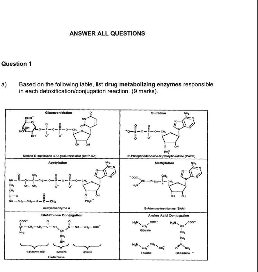 conjugation with glutathione Glutathione-mediated conjugation of anticancer drugs: an overview of  reaction mechanisms and biological significance for drug de main image 1