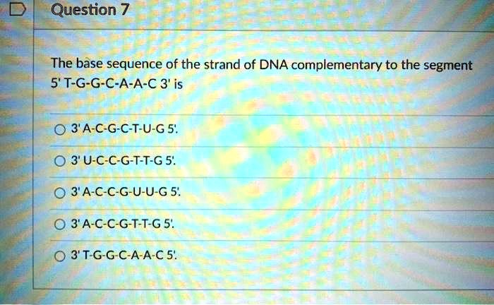 The base sequence of the strand of DNA complementary to the segment 5' T-G-G-C-A-A-C 3' is
3' A-C-G-C-T-U-G 5'.
3' U-C-C-G-T-T-G 5'.
3' A-C-C-G-U-U-G 5'.
3' A-C-C-G-T-T-G 5'.
3' T-G-G-C-A-A-C 5'.