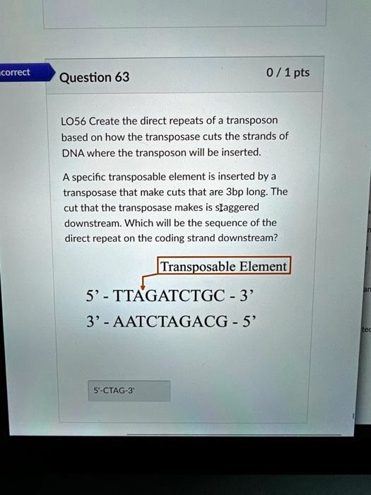 SOLVED: What is the correct answer and why? LO56: Create the direct ...