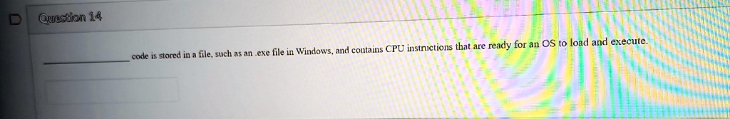 question 14 code is stored in a file such as an exe file in windows and contains cpu instructions that are ready for an os to load and execute 30664