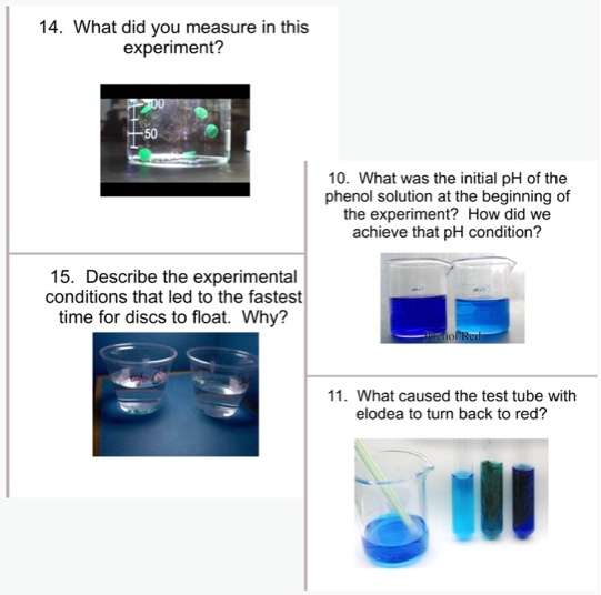 VIDEO solution: 14. What did you measure in this experiment? 1-50 10 ...