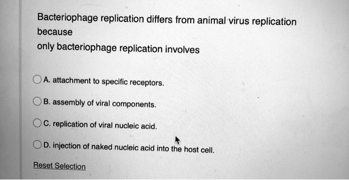 SOLVED: Bacteriophage replication differs from animal virus replication because only bacteriophage replication involves attachment to specilic receptors assembly of viral components. replication of viral nucleic acid. injection of naked nucleic acid into SOLVED: Bacteriophage replication differs from animal virus replication because only bacteriophage replication involves attachment to specilic receptors assembly of viral components. replication of viral nucleic acid. injection of naked nucleic acid into