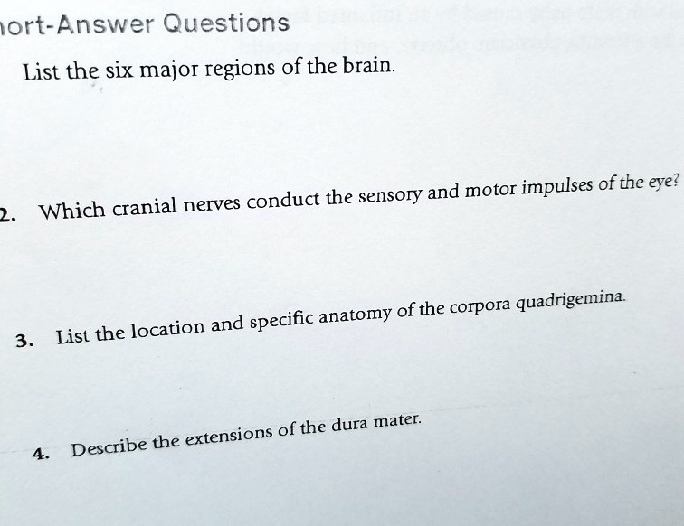 solved-iort-answer-questions-list-the-six-major-regions-of-the-brain