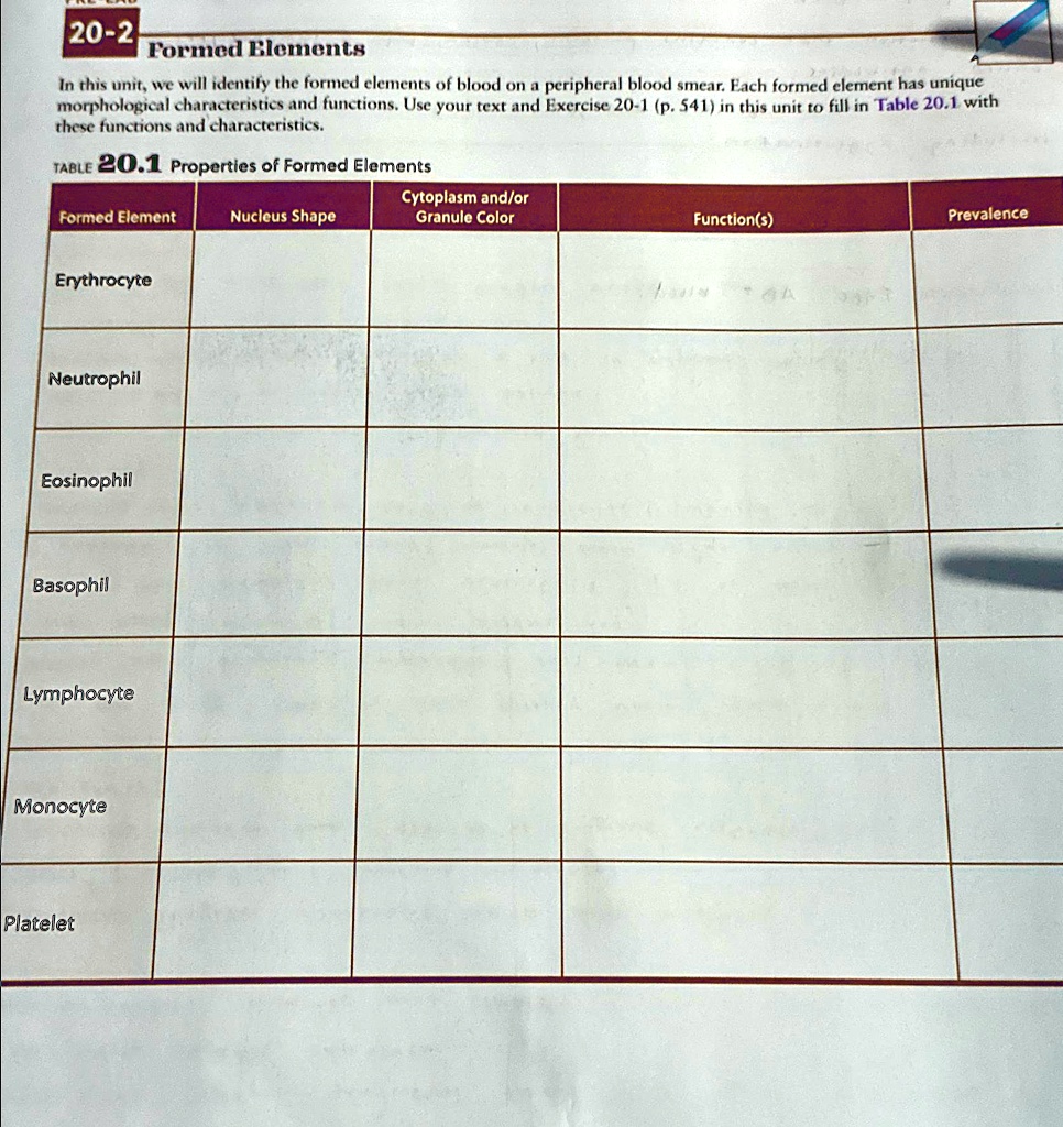 SOLVED: 20-2 Formed Elements In this unit, we will identify the formed ...