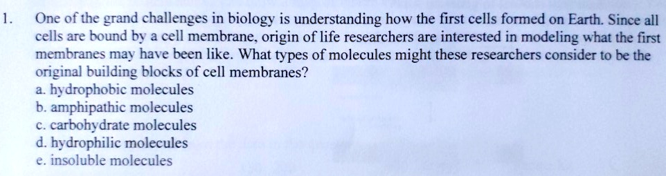 1. One of the grand challenges in biology is understanding how the first cells formed on Earth. Since all
cells are bound by a cell membrane, origin of life researchers are interested in modeling what the first
membranes may have been like. What types of molecules might these researchers consider to be the
original building blocks of cell membranes?
a. hydrophobic molecules
b. amphipathic molecules
c. carbohydrate molecules
d. hydrophilic molecules
e. insoluble molecules