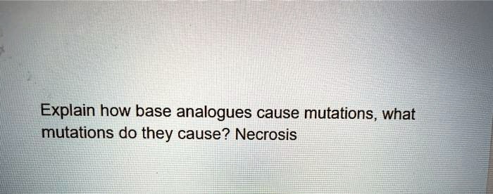 Explain how base analogues cause mutations, what mutations do they cause? Necrosis