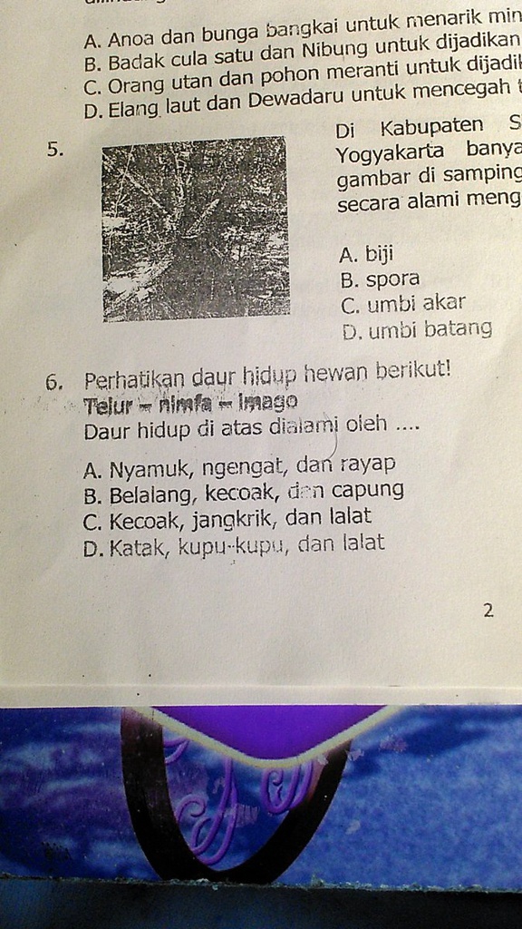 SOLVED: Dan Penjelasan Jawaban Yang Kamu Jawab Bangkai Untuk ...