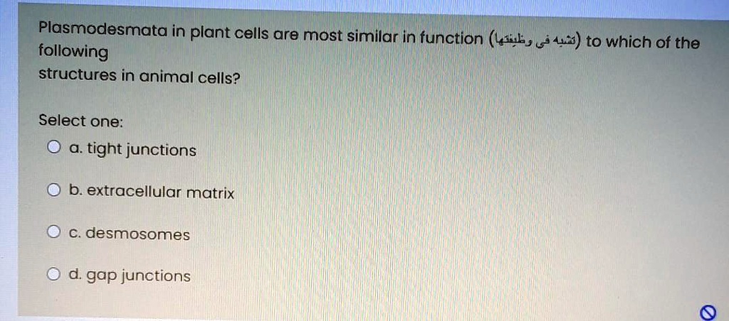Plasmodesmata in plant cells are most similar in function (???? ?? ???????) to which of the following
structures in animal cells?
Select one:
a. tight junctions
b. extracellular matrix
c. desmosomes
d. gap junctions