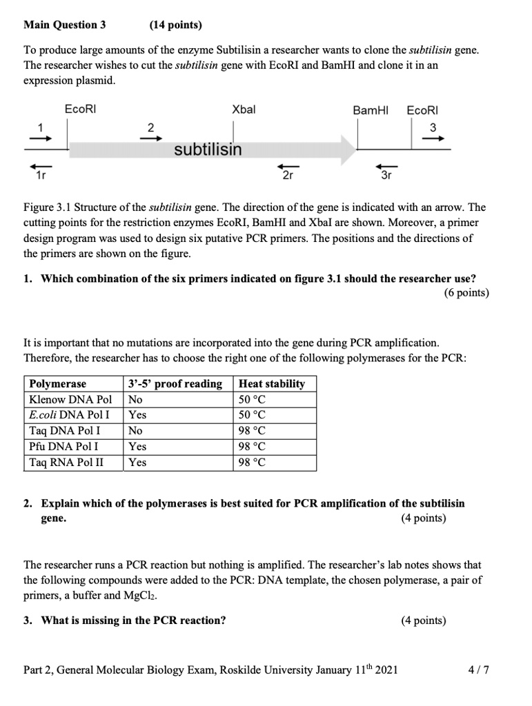 SOLVED: Main Question 3 (14 points) To produce large amounts of the enzyme  Subtilisin researcher wants to clone the subtilisin gene: The researcher  wishes to cut the subtilisin gene with EcoRI and