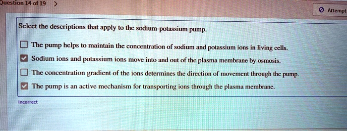 Select the descriptions that apply to the sodium-potassium pump.

The pump helps to maintain the concentration of sodium and potassium ions in living cells.
Sodium ions and potassium ions move into and out of the plasma membrane by osmosis.
The concentration gradient of the ions determines the direction of movement through the pump.
The pump is an active mechanism for transporting ions through the plasma membrane.