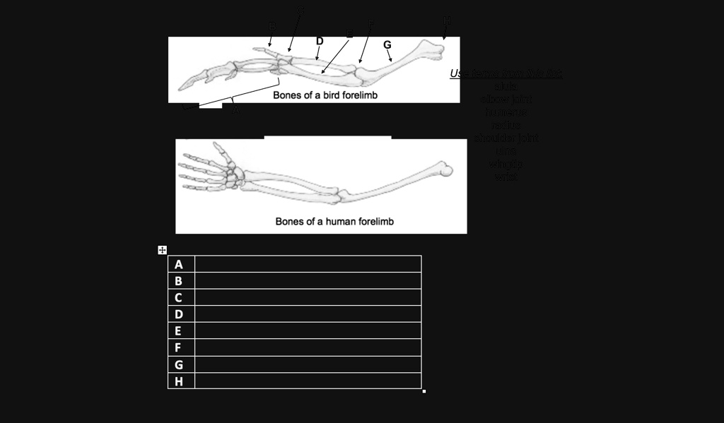 Use fermat's last theorem. Bones of a bird forelimb radius ulna wrist ...