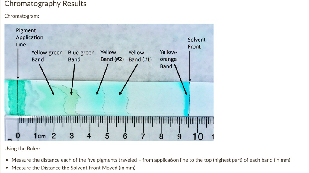 SOLVED Chromatography Results Chromatogram Pigment Application Line