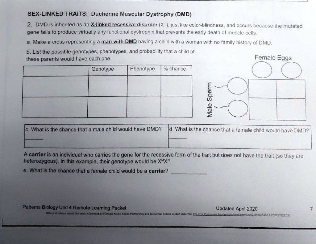 SOLVED: SEX-LINKED TRAITS: Duchenne Muscular Dystrophy (DMD) DMD is  inherited as an X-linked recessive disorder (X-linked) just like  color-blindness, and occurs because one mutated gene fails to produce  virtually any functional dystrophin