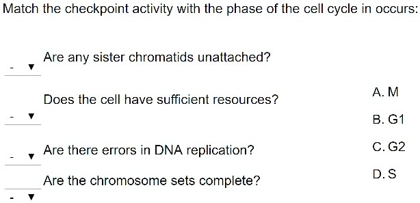 Match the checkpoint activity with the phase of the cell cycle in occurs:
Are any sister chromatids unattached?
Does the cell have sufficient resources?
Are there errors in DNA replication?
Are the chromosome sets complete?
A. M
B. G1
C. G2
D. S
