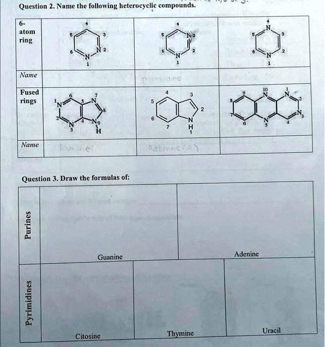 Determine which of the heterocyclic amines just shown are aromat... |  Channels for Pearson+