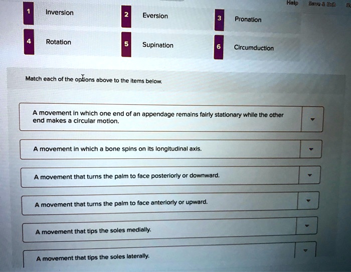 SOLVED: Inversion 2 Eversion Pronation Rotation 5 Supination ...