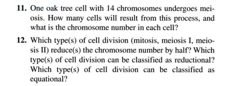 SOLVED: 11. One oak tree cell with 14 chromosomes undergoes meiosis ...