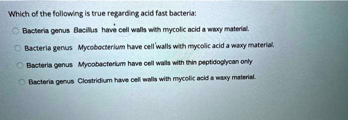 Which of the following is true regarding acid fast bacteria:
Bacteria genus Bacillus have cell walls with mycolic acid a waxy material.
Bacteria genus Mycobacterium have cell walls with mycolic acid a waxy material.
Bacteria genus Mycobacterium have cell walls with thin peptidoglycan only
Bacteria genus Clostridium have cell walls with mycolic acid a waxy material.