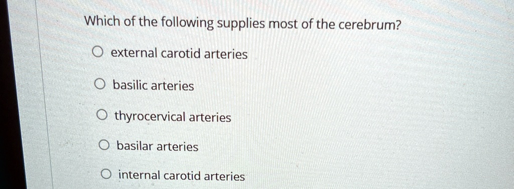 Which of the following supplies most of the cerebrum?
external carotid arteries
basilic arteries
thyrocervical arteries
basilar arteries
internal carotid arteries
