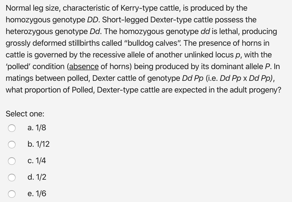 SOLVED Normal leg size, characteristic of Kerrytype cattle, is