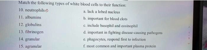 Match the following types of white blood cells to their function:
10. neutrophils
11. albumins
12. globulins
13. fibrinogen
14. granular
15. agranular
a. lack a lobed nucleus
b. important for blood clots
c. include basophil and eosinophil
d. important in fighting disease-causing pathogens
e. phagocytes, respond first to infection
f. most common and important plasma protein