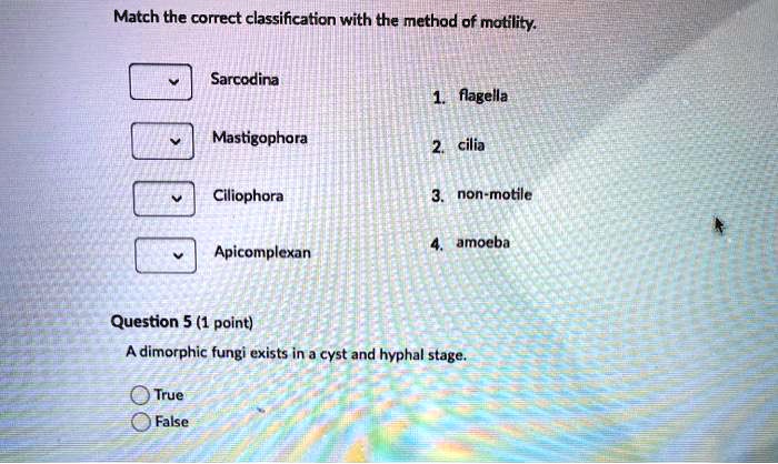 SOLVED Match The Correct Classification With The Method Of Motility N 