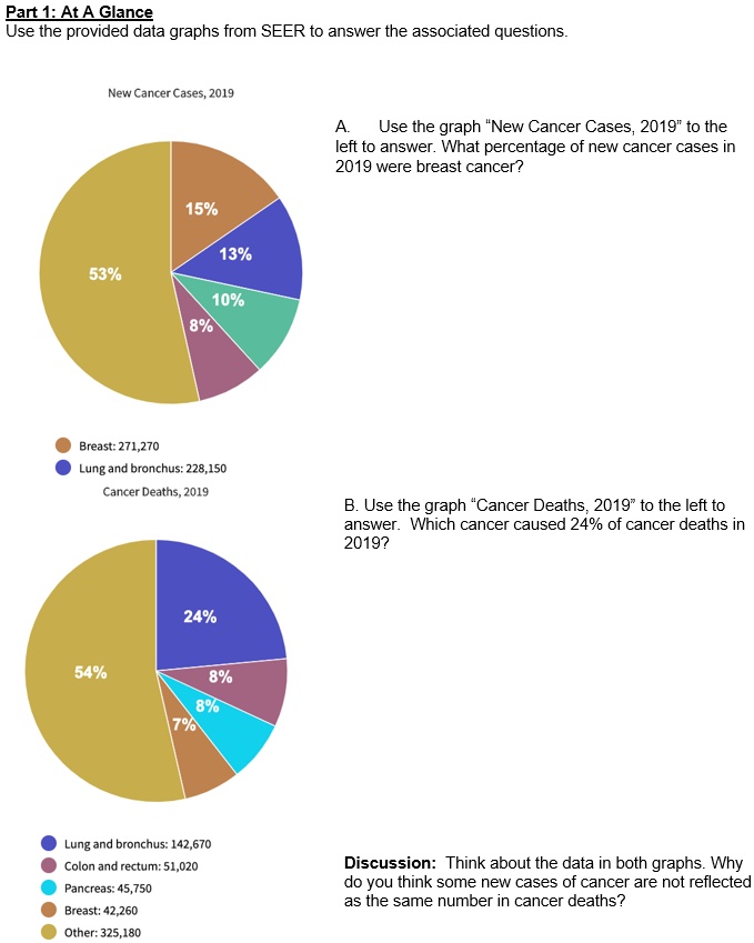 Part 1: At A Glance
Use the provided data graphs from SEER to answer the associated questions.

New Cancer Cases, 2019
15%
13%
10%
8%
53%

Breast: 271,270
Lung and bronchus: 228,150

A. Use the graph "New Cancer Cases, 2019" to the left to answer. What percentage of new cancer cases in 2019 were breast cancer?

Cancer Deaths, 2019
24%
54%
8%
8%
7%

Lung and bronchus: 142,670
Colon and rectum: 51,020
Pancreas: 45,750
Breast: 42,260
Other: 325,180

B. Use the graph "Cancer Deaths, 2019" to the left to answer. Which cancer caused 24% of cancer deaths in 2019?

Discussion: Think about the data in both graphs. Why do you think some new cases of cancer are not reflected as the same number in cancer deaths?
