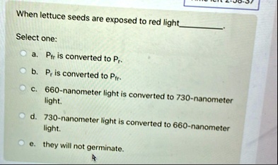 when lettuce seeds are exposed to red light select one a pfr is converted to pr b pr is converted to pfr c 660 nanometer light is converted to 730 nanometer light d 730 nanometer light is co 51233