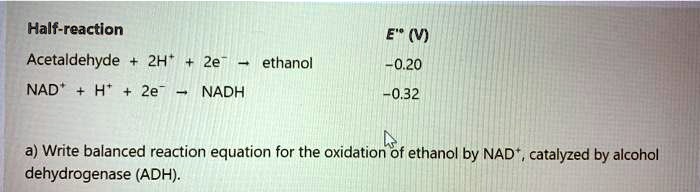 Solvedhalf Reaction Acetaldehyde 2h Nad Ht 2e 5 V 2e Ethanol Nadh 020 032 A Write 4316