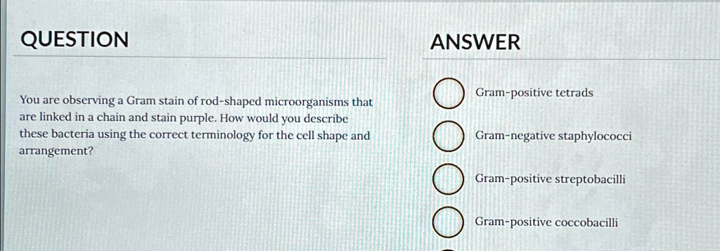 SOLVED: The correct answer is: Gram-positive streptobacilli