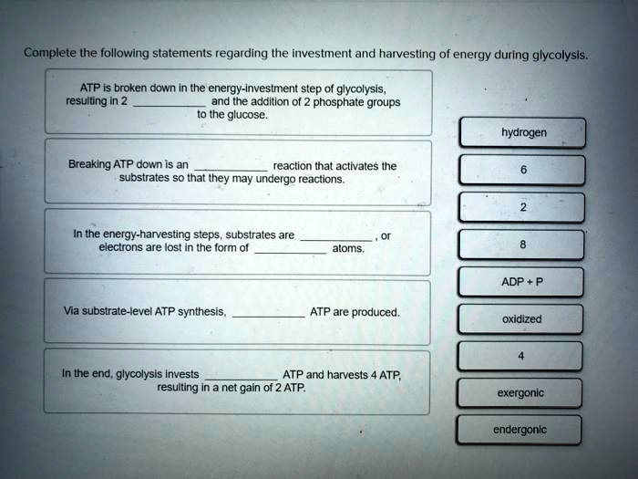 Which Of The Following Statements Is True Regarding Energy Drinks SOLVED: Complete the following statements regarding the investment and