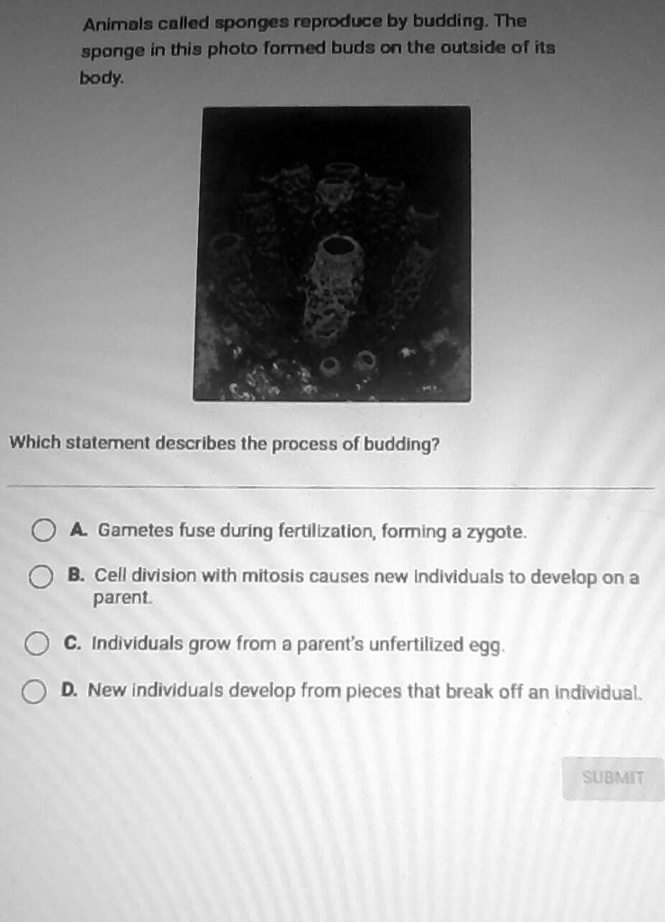 SOLVED "Science 6 Must explain what's the answer marking brainliest