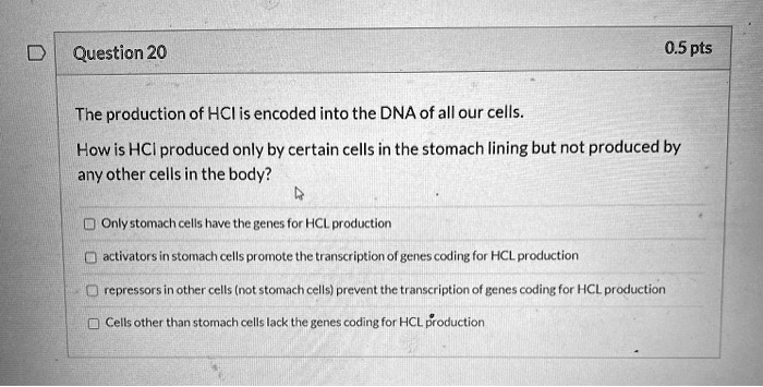 The production of HCl is encoded into the DNA of all our cells.
How is HCl produced only by certain cells in the stomach lining but not produced by any other cells in the body?
Only stomach cells have the genes for HCL production
activators in stomach cells promote the transcription of genes coding for HCL production
repressors in other cells (not stomach cells) prevent the transcription of genes coding for HCL production
Cells other than stomach cells lack the genes coding for HCL production