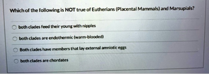 Which of the following is NOT true of Eutherians (Placental Mammals) and Marsupials?
both clades feed their young with nipples
both clades are endothermic (warm-blooded)
Both clades have members that lay external amniotic eggs
both clades are chordates