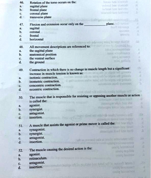 SOLVED 46. a. b. c. d. Rotation of the torso occurs on the sagittal