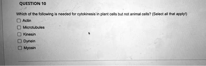 QUESTION 10
Which of the following is needed for cytokinesis in plant cells but not animal cells? (Select all that apply!)
Actin
Microtubules
Kinesin
Dynein
Myosin