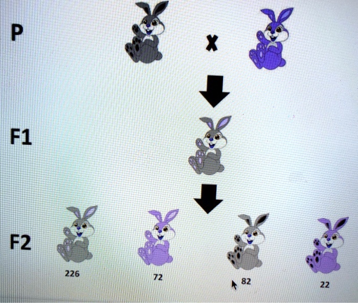 P
F1
F2
226
72
82
22