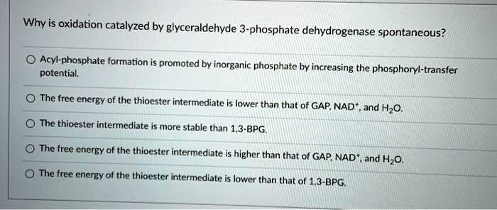 Why is oxidation catalyzed by glyceraldehyde 3-phosphate dehydrogenase spontaneous?
Acyl-phosphate formation is promoted by inorganic phosphate by increasing the phosphoryl-transfer potential.
The free energy of the thioester intermediate is lower than that of GAP, NAD+, and H2O.
The thioester intermediate is more stable than 1,3-BPG.
The free energy of the thioester intermediate is higher than that of GAP, NAD+, and H2O.
The free energy of the thioester intermediate is lower than that of 1,3-BPG.