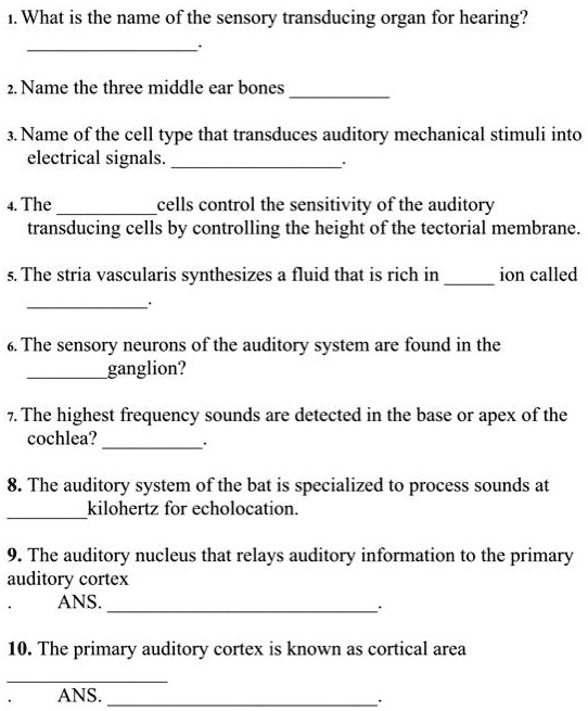 SOLVED 1. What is the name of the sensory transducing organ for