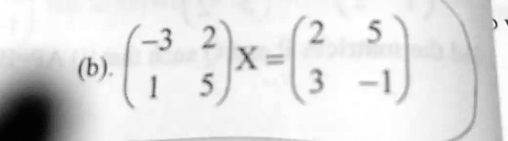 
    < p m a t r i x >
 X = 
    < p m a t r i x >
