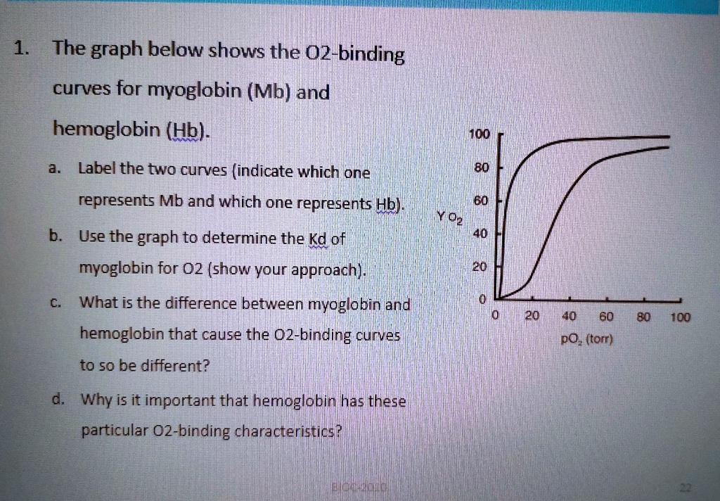 1 the graph below shows the o2 binding curves for myoglobin mb and ...