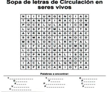 SOLVED: me ayudan plis es para ya Sopa de letras de Circulacion en ...