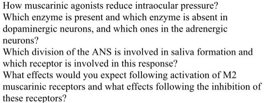 solved-how-do-muscarinic-agonists-reduce-intraocular-pressure-which