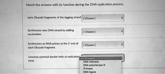 Match the enzyme with its function during the DNA replication process.
Joins Okazaki fragments of the lagging strand [ Choose ]
Synthesizes new DNA strand by adding nucleotides [ Choose ]
Synthesizes an RNA primer at the 5' end of each Okazaki fragment [ Choose ]
Unwinds parental double helix at replication forks [ Choose ]
DNA helicase
DNA polymerase III
Primase
DNA ligase