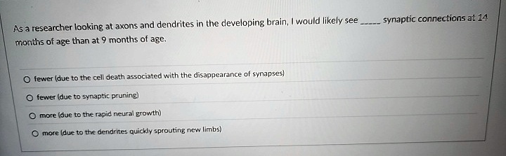 as a researcher looking at axons and dendrites in the developing brain i would likely see  synaptic connections at 14 months of age than at 9 months of age o fewer due to the cell deat 66015