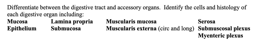Differentiate between the digestive tract and accessory organs. Identify the cells and histology of each digestive organ including: Mucosa Epithelium Lamina propria Submucosa Muscularis mucosa Serosa Muscularis externa (circ and long) Submuscosal plexus Myenteric plexus