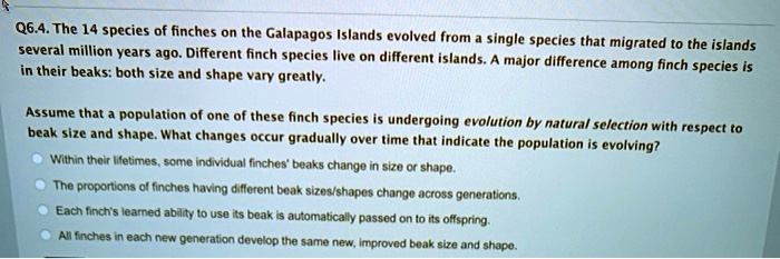 Q6.4. The 14 species of finches on the Galapagos Islands evolved from a single species that migrated to the islands several million years ago. Different finch species live on different islands. A major difference among finch species is in their beaks: both size and shape vary greatly.

Assume that a population of one of these finch species is undergoing evolution by natural selection with respect to beak size and shape. What changes occur gradually over time that indicate the population is evolving?
Within their lifetimes, some individual finches' beaks change in size or shape.
The proportions of finches having different beak sizes/shapes change across generations.
Each finch's learned ability to use its beak is automatically passed on to its offspring.
All finches in each new generation develop the same new, improved beak size and shape.