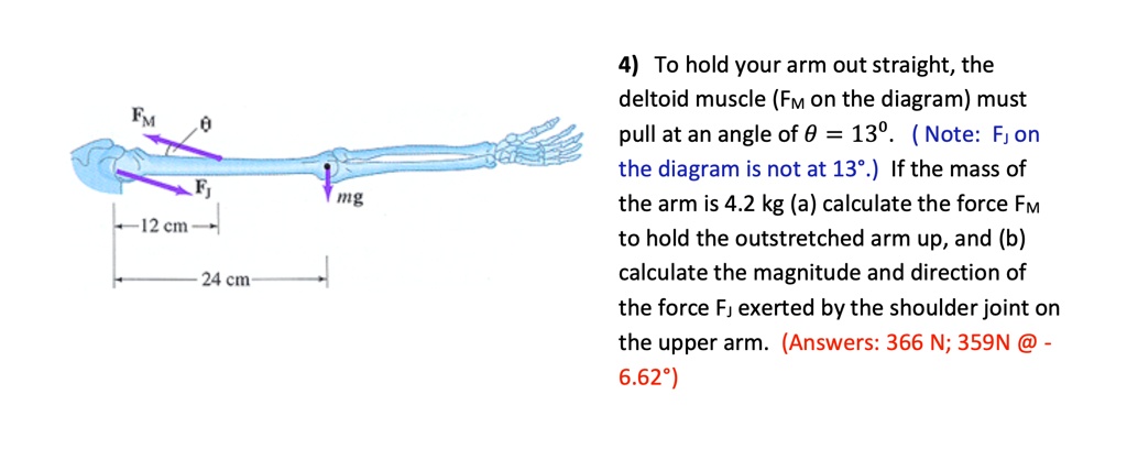 4) To hold your arm out straight, the deltoid muscle (FM on the diagram) must pull at an angle of ? = 13°. (Note: FJ on the diagram is not at 13°.) If the mass of the arm is 4.2 kg, (a) calculate the force FM to hold the outstretched arm up, and (b) calculate the magnitude and direction of the force FJ exerted by the shoulder joint on the upper arm. (Answers: 366 N; 359N @ -6.62°)